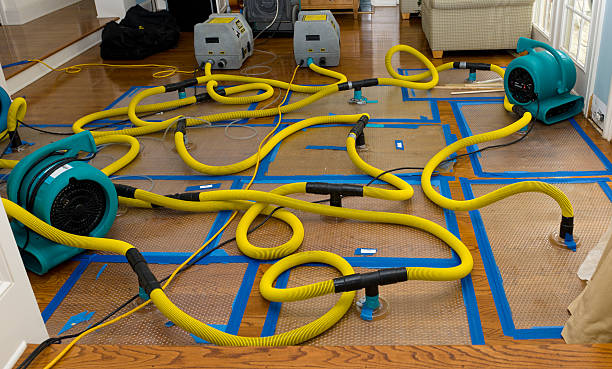 Professional Burst Pipe Water Damage technician working in Blair, WV